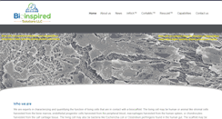 Desktop Screenshot of bioinspiredsolutions.com